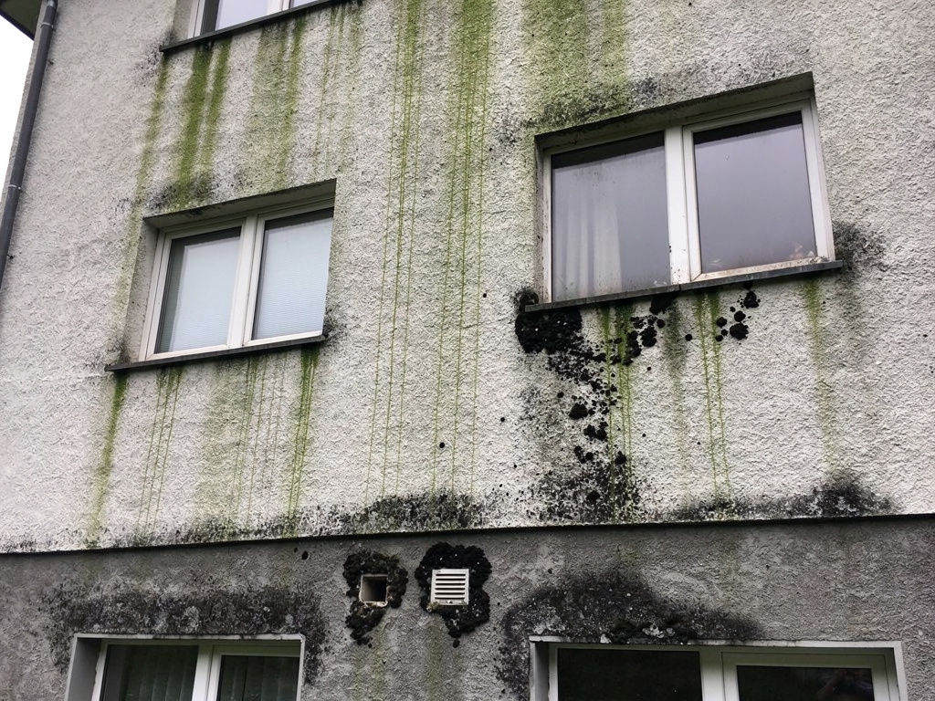 Elewacja budynku przed czyszczeniem – widoczne zabrudzenia i glony